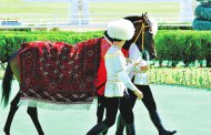 Photo report: Autumn horse racing season begins in Turkmenistan