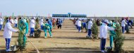 Photos: Tree planting campaign was held in Turkmenistan