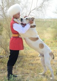 Ahal welaýatynda geçirilen «Ýylyň türkmen edermen alabaýy» atly halkara bäsleşiginden fotoreportaž