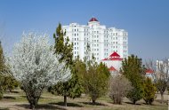 Spring in Ashgabat