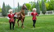 The second round of the Akhal-Teke horse beauty contest took place in Turkmenistan