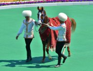 Photoreport: The best rider-mentor was awarded a valuable prize from the President of Turkmenistan