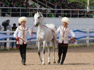 The second round of the international beauty contest of Akhal-Teke horses took place in Ashgabat