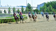 Photo report: Autumn horse racing season begins in Turkmenistan