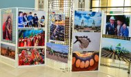 Photoreport: The international photo exhibition “Turkmenistan - the homeland of Neutrality” took place in Ashgabat