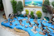 An exhibition dedicated to the beauty of the nature of the Caspian Sea was held in Ashgabat