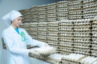 Photo report: A new poultry complex opened in Akhal velayat