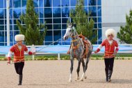 Photoreport from the international beauty contest on the occasion of the national day of the Turkmen horse