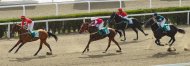 Spring racing season starts in Turkmenistan