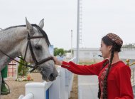 В Ашхабаде прошли соревнования по конкуру