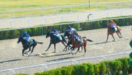 Photoreport: Horse racing was held in Ashgabat in honor of the Harvest Festival