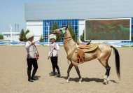 The second round of the international beauty contest of Akhal-Teke horses took place in Ashgabat