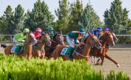 Праздничные скачки и торжества ко Дню туркменского скакуна состоялись в Туркменистане