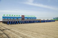 Photo report: cotton sowing has begun in four velayats of Turkmenistan