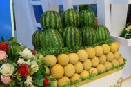 Ashgabat hosts an exhibition of the trade complex of Turkmenistan