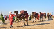 Photoreport: National tree celebrations held in Turkmenistan