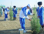 Photoreport: a nationwide tree planting campaign was held in Turkmenistan