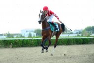 Photo report: Autumn horse racing season begins in Turkmenistan