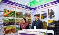 The exhibition of economic achievements of Turkmenistan continues in Ashgabat