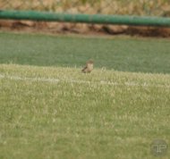 “Altyn Asyr” bilen HTTU-nyň arasyndaky duşuşykdan fotoreportaž