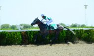 Photo report: Autumn horse racing season begins in Turkmenistan