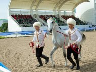 The second round of the international beauty contest of Akhal-Teke horses took place in Ashgabat