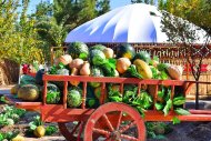 Photo story: Harvest Festival celebrated in Turkmenistan