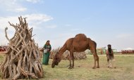 В Туркменистане отмечается Национальный праздник Новруз