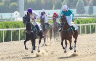 Festive races were held in Turkmenistan