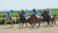 Photo report: Turkmenistan celebrates the National Horse of Turkmenistan on a grand scale