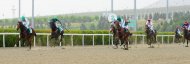 Photoreport from the celebrations organized at the international Akhal-Teke equestrian sports complex on the occasion of the national day of the Turkmen horse