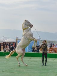 В Туркменистане отмечается Национальный праздник Новруз