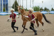 В Туркменистане прошел конкурс красоты ахалтекинского скакуна