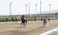 Festive races were held in Turkmenistan