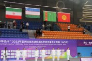 Photo report: 8 medals Turkmen wrestlers won at Asian Kurash Championship in Hangzhou