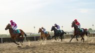 Spring racing season starts in Turkmenistan