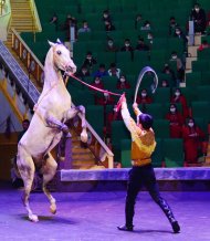 The State Circus of Turkmenistan hosted a performance in honor of the national holiday of the Turkmen horse