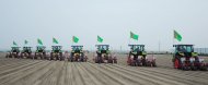 Photoreport: сotton planting has begun in four velayats of Turkmenistan