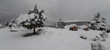 Fotoreportaž: Türkmenaşynyň asma ýoly