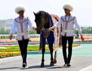 Фоторепортаж: Лучший наездник-наставник награжден ценным призом от Президента Туркменистана