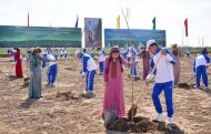 Fotoreportaž: Türkmenistanda 1 million 600 müň düýpden gowrak bag ekildi