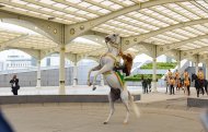 Ashgabat hosted the Dialogue of Women of the Countries of Central Asia and Russia