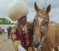 В Туркменистане прошел конкурс красоты ахалтекинского скакуна