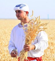 Fotoreportaž: Ahal, Lebap we Mary welaýatynda galla oragyna girişildi