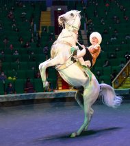 The State Circus of Turkmenistan hosted a performance in honor of the national holiday of the Turkmen horse