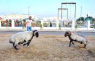 Photoreport: Turkmenistan widely celebrates Kurban Bayram