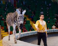 The State Circus of Turkmenistan hosted a performance in honor of the national holiday of the Turkmen horse