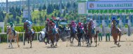 Photo report: Turkmenistan celebrates the National Horse of Turkmenistan on a grand scale