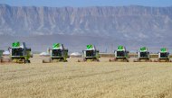 Photoreport: Grain harvesting began in Akhal, Lebap and Mary velayats