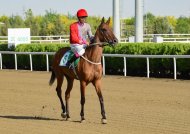 Festive races were held in Turkmenistan